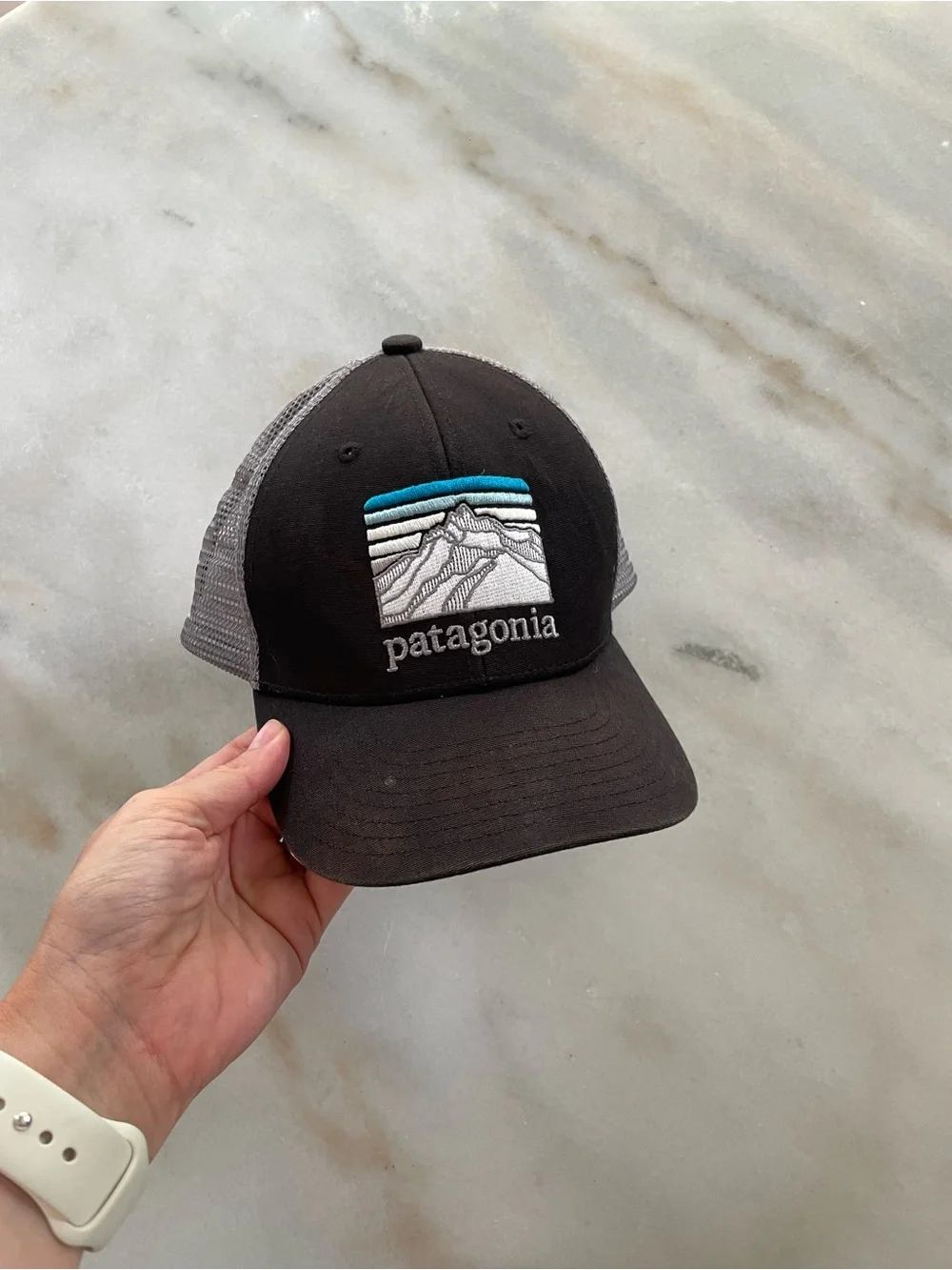 Patagonia Black and Gray Trucker Hat with Teal Accent